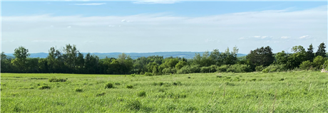 Banner Picture